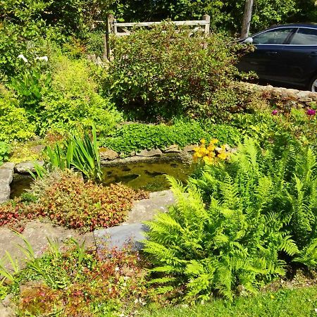 Tabor House B&B Фишгард Екстериор снимка